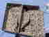 item-112726476=8