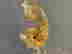 item-115041706=8