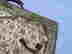item-120269240=13