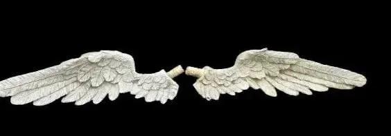 A Pair of decorative wall hanging Angel wings (1 of 15)