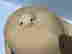 item-128024631=10