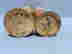 item-128027066=11