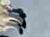 item-128161589=10