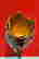 item-128170012=6