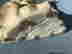 item-128170016=13