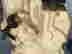 item-128170016=3