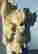 item-128170016=9