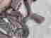 item-128170030=6