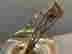 item-128170090=10