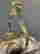 item-128170090=5