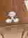 item-128170134=10
