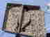 item-128170146=8