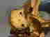 item-128170220=15