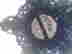item-128170238=13