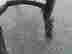 item-128170238=8