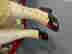 item-128170246=18