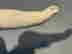 item-128170246=19
