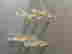 item-128170273=10