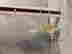 item-128170273=15
