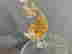 item-128170273=5