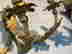 item-128170302=4