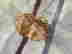 item-128170339=3