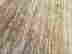 item-128170364=4