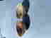 item-128206305=3