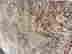item-132913208=12