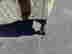 item-132913380=7