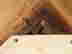 item-132913401=15