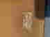 item-132913451=11