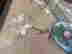 item-132913451=6