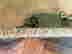 item-132913524=9