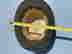 item-135755661=16
