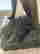 item-135900256=8