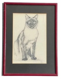 Bob Deegan charcoal & pencil Cat drawing