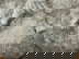 item-201040143=4
