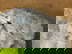 item-201040143=5