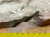 item-201040143=7