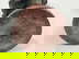 item-209246146=11