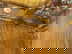 item-209246184=13