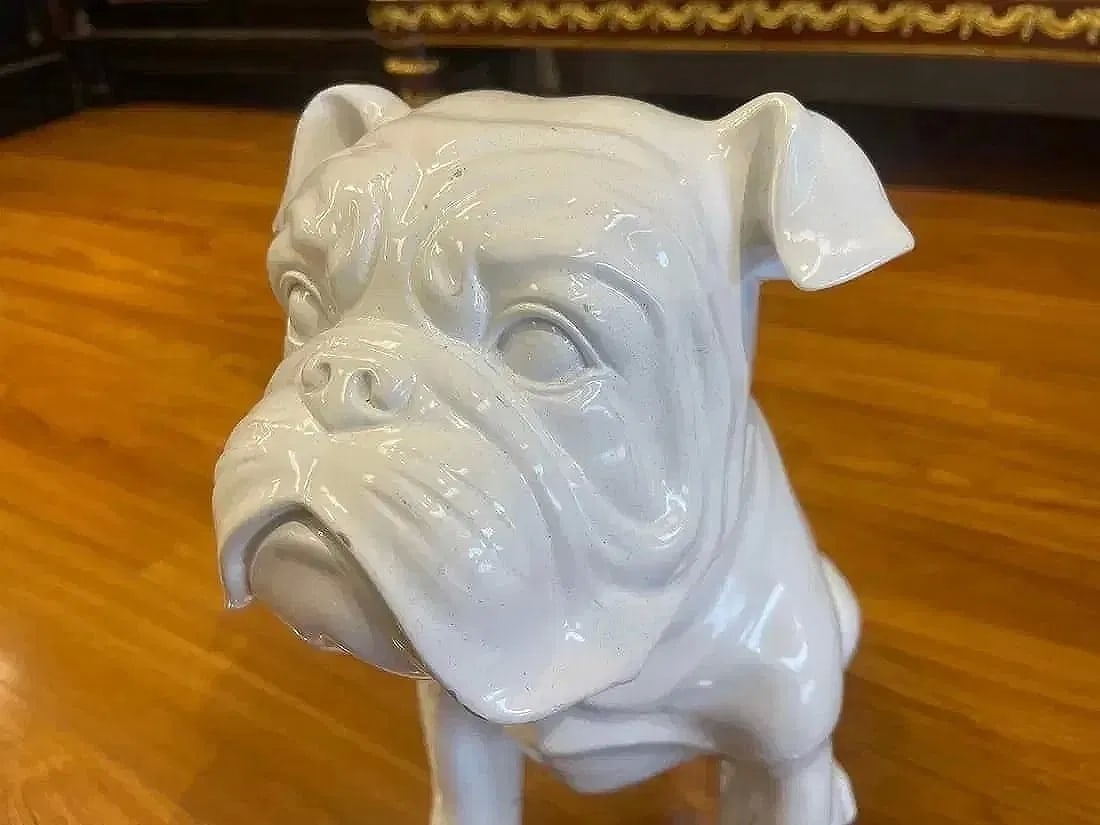 An English Bulldog statue life size 18 inches tall - 3