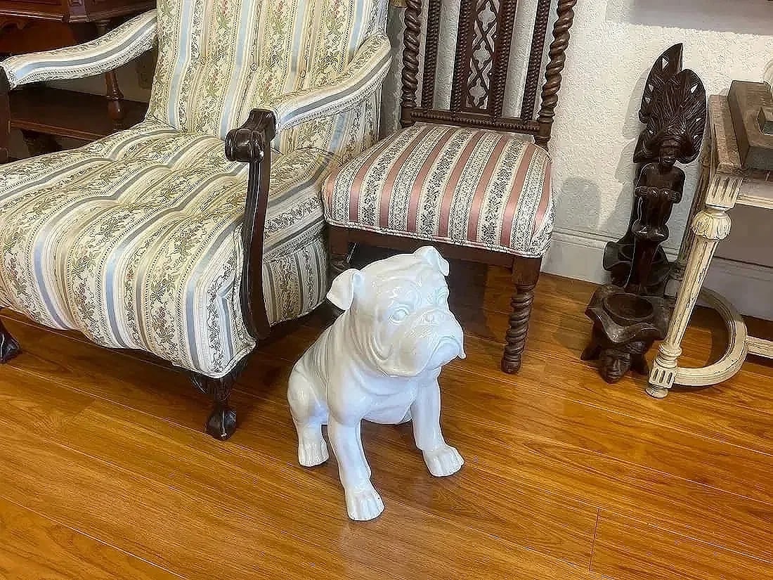An English Bulldog statue life size 18 inches tall - 9