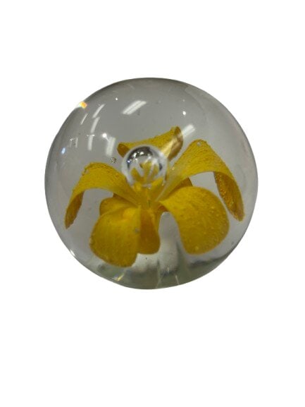 Italian art Glass Paperweight: Italian art Glass Paperweight with yellow flower and controlled bubbles.