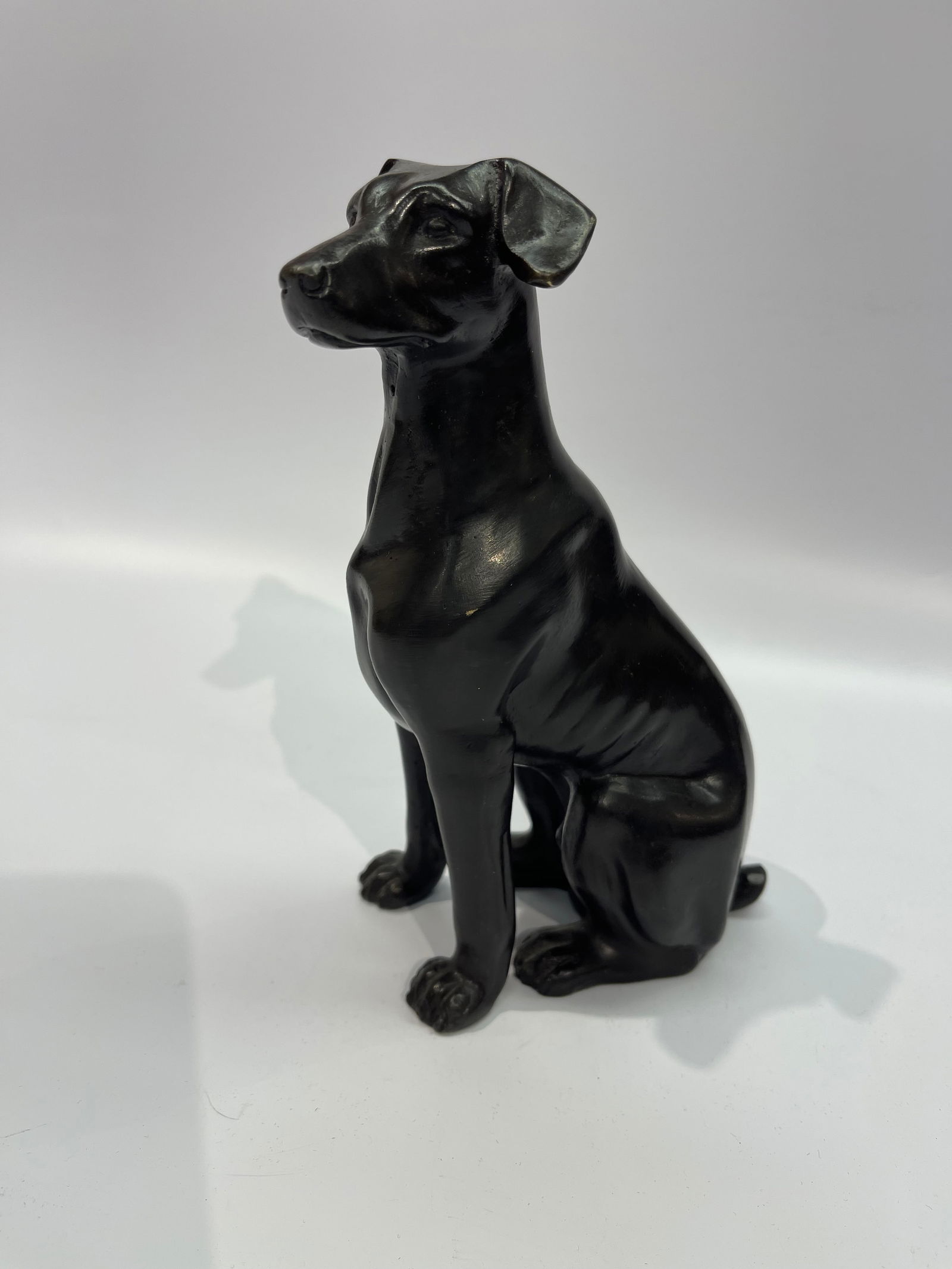 A bronze sitting Dog statue - 13