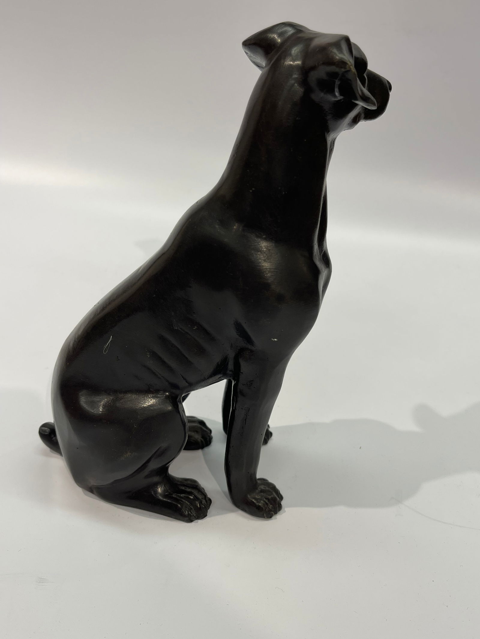 A bronze sitting Dog statue - 4