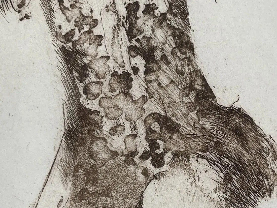 A drypoint etching by an unknown artist - 10
