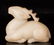 CHINESE WHITE JADE CARVED FIGURE OF MYTHICAL DEER - 2