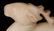 CHINESE WHITE JADE CARVED FIGURE OF MYTHICAL DEER - 3